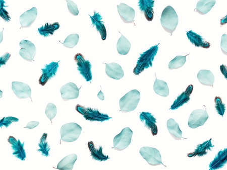 Composition of leaves of plants and feathers. Dried and emerald-colored eucalyptus leaves and blue pheasant feathers are isolated on a white background. Flat lay. Top view.の写真素材