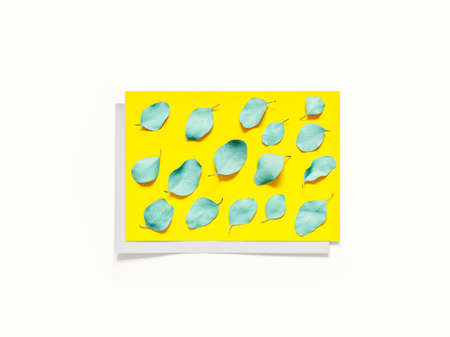 Abstract composition with leaves. Turquoise colored eucalyptus leaves are on a sheet of yellow...