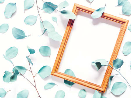 Composition with plants. Turquoise colored eucalyptus leaves isolated on a white background. Nearby...