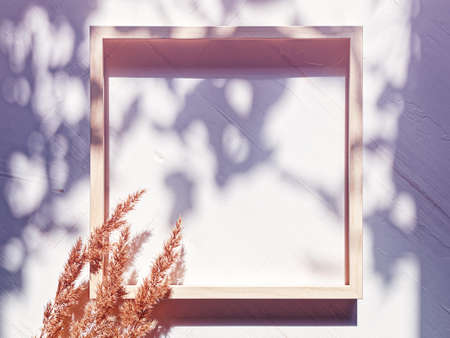 An empty wooden picture frame is on a white background with shadows from the foliage. Nearby are spikelets of dried plants. Flat lay. Copy space.の写真素材