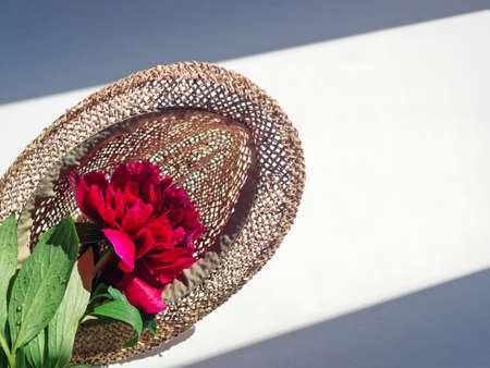 Fresh red peony with drops of water on the petals is in a straw hat.の写真素材