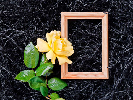 Flower composition. A yellow rose or rose hip flower is on the background of black paper shavings. Nearby is an empty wooden photo frame. Flat lay. Top view. Copy space.の写真素材