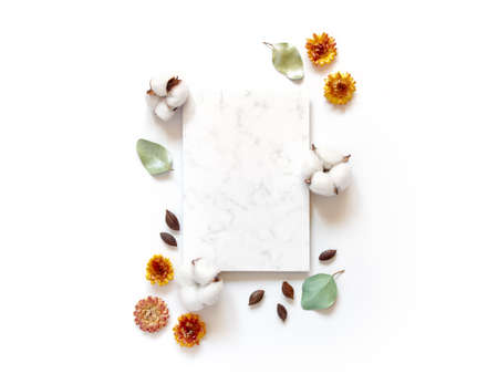 Flower composition. Cotton flowers, dried flowers and eucalyptus leaves are on a white background. A...