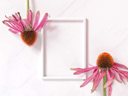 Autumn floral layout. Empty frame template decorated with flowers. Seasonal autumn concept. White...