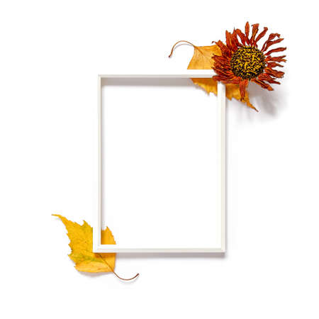Autumn composition. Empty frame template decorated with dry leaves, flowers and plants. Seasonal autumn concept. White background. Flat lay, top view, copy space.の写真素材