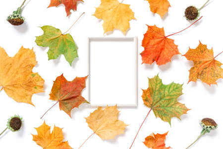Autumn composition. An empty white photo frame is on a white background. Dried flowers, leaves and plants are nearby. Flat lay, top view, copy space.の写真素材