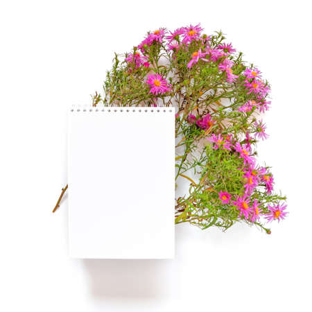 Autumn flower arrangement. A bouquet of flowers octobrines (Aster perennial) and an open blank...