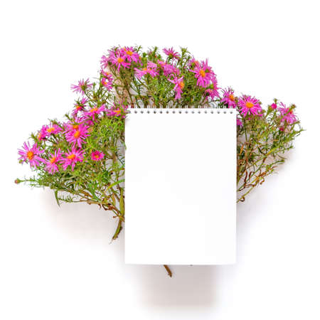 Autumn flower arrangement. A bouquet of flowers octobrines (Aster perennial) and an open blank notebook is on a white background. Flat lay. Top view. Copy space.の写真素材