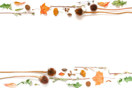 A frame made of dried flowers, leaves and plants  on  whiteの写真素材