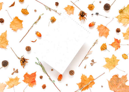 An open blank notepad is on a white background in the arms of dried leaves, flowers and plants. Autumn, fall, thanksgiving day concept. Social media background. Flat lay, top view, copy space.の写真素材