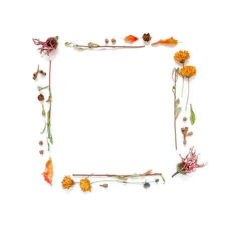Autumn composition. A frame made of dried flowers, leaves and plants is on a white background....