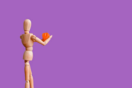 A wooden mannequin holds a physalis flower in his hands.の写真素材