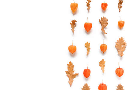 Layout made of dried oak leaves and physalis flowers. Autumn, fall, thanksgiving day concept. Flat...