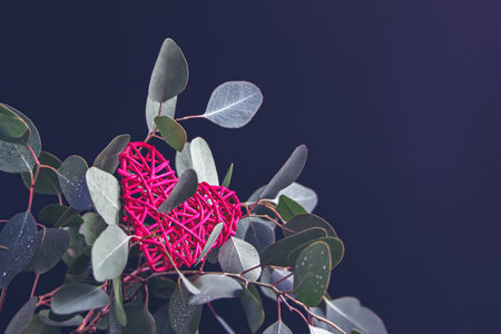 A wicker heart-shaped figure is among the foliage of a natural branch of fresh eucalyptus on a dark background. Composition for valentine's day, mother's day. Copy space.の写真素材