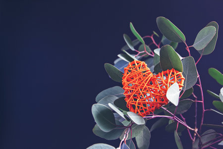 A wicker heart-shaped figure is among the foliage of a natural branch of fresh eucalyptus on a dark background. Composition for valentine's day, mother's day. Copy space.の写真素材