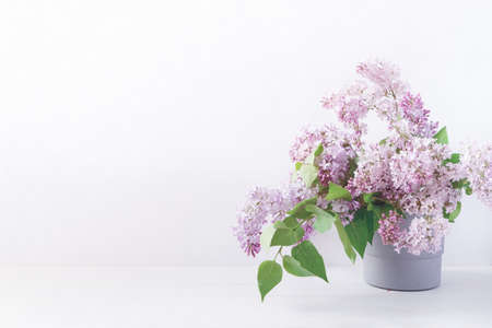 Floral layout with branches of blooming lilacs in a gray pot. Spring, summer template for banner, postcard, social media. Copy space.の写真素材