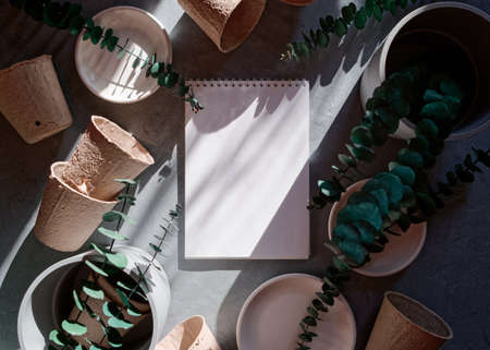 An open blank notebook, eucalyptus branches, flower pots, and cardboard bags for growing seedlings...