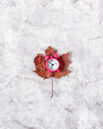 Abstract autumn composition with a dried maple leaf and an alarm clock on a gray stone background....