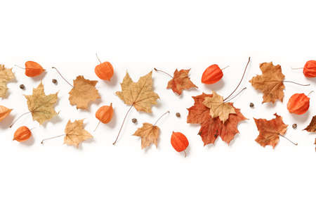 A strip of dry maple leaves, physalis bolls, seeds is on a white background. Autumn, fall,...