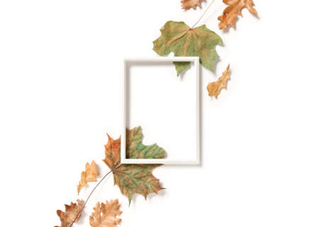 Minimalistic autumn composition. An empty photo frame and diagonal maple and oak leaves are on a...