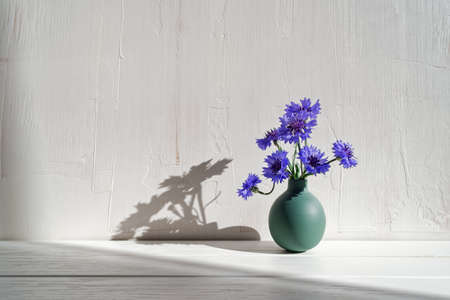 Cornflowers are in a small green vase on a white wooden background and are illuminated by the sun's rays from the window. A simple rustic flower arrangement on a wooden table against a wall.の写真素材