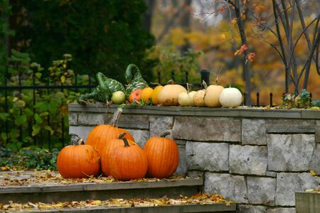 various pumpkins and gourds on front porchの写真素材