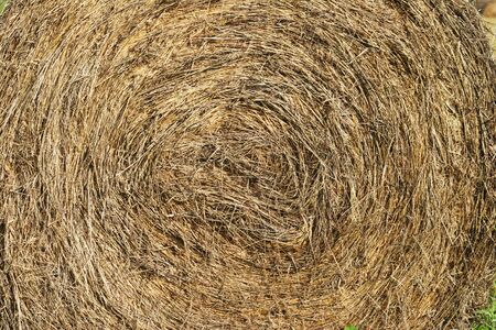 close up of round hay bale with spiral patternの写真素材