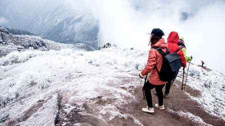 The cattle Hill climberのeditorial素材