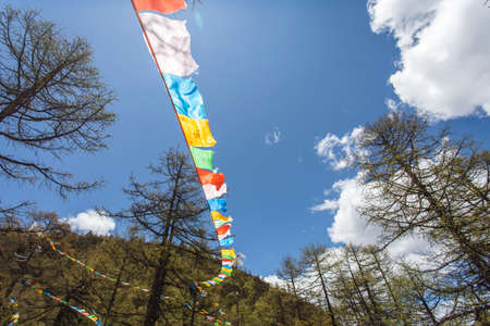 flags with skyの写真素材