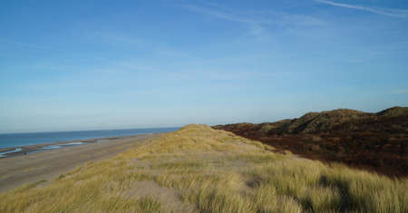 View on the dunes, beach and sea in Hollandの写真素材