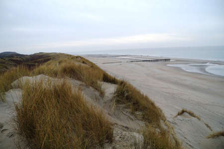Dutch seascape: dunes, wave breakers, beach and seaの写真素材