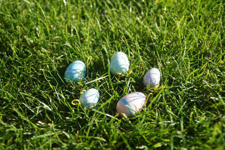 Easter eggs in the grassの写真素材
