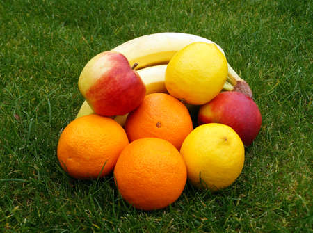 Fresh fruit in the grassの写真素材