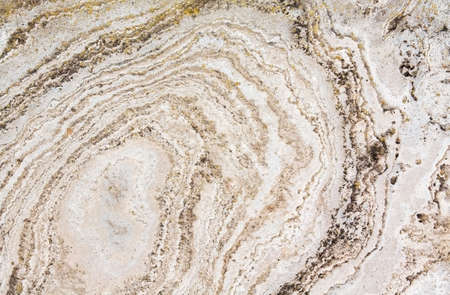 Yellow, white, creme, beige, light stone and sand textured background with lines and curves, closeupの写真素材