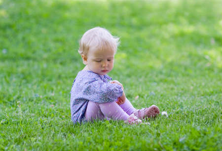 Cute baby sitting on a meadow, green grass, summerの写真素材