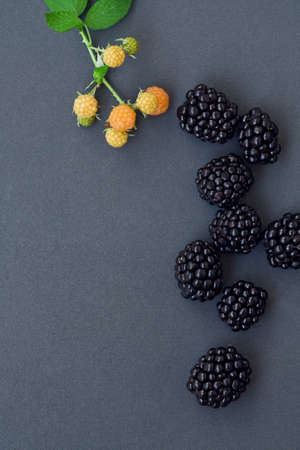Closeup of ripe blackberries and unripe raspberries with green leaves and stem on grey background, funny card, copyspaceの写真素材