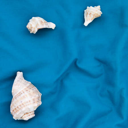 Set of three beautiful seashells on blue nautical fabric material cotton background, design, card,...