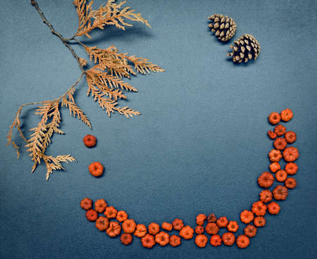 Closeup still life of cedar, arborvitae leaf branch, tiny red and orange pumpkin pods and two pine...