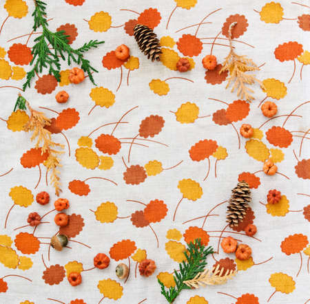 Closeup still life of cedar, arborvitae leaf branch, heap of tiny red and orange pumpkin putka pods and acorns, two pine cones. Autumn, Fall, Halloween concept. の写真素材