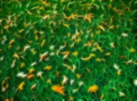 Beautiful blurry colorful abstract stylized textured background, fractal, card wallpaper with copyspaceの写真素材