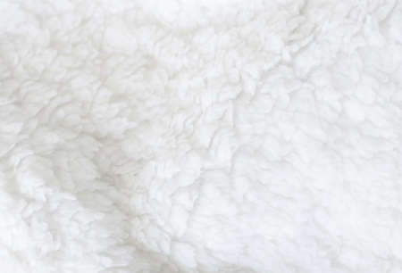 White sheep fur background texture wallpaper, natural ecological organic clean cover, copy space for textの写真素材