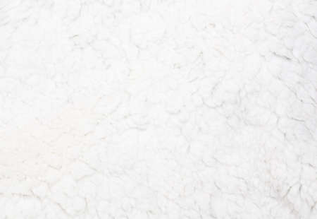 White sheep fur background texture wallpaper, natural ecological organic clean cover, copy space for textの写真素材