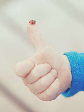 Red ladybird standing on the tip of the finger of a human child hand making 'thumbs up' sign against...