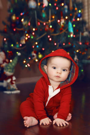 Cute adorable Caucasian baby infant with dark black eyes in red costume hoodie sitting by New Year Tree looking directly in camera. Happy holidays. Winter holidays. Baby first Christmas.の写真素材