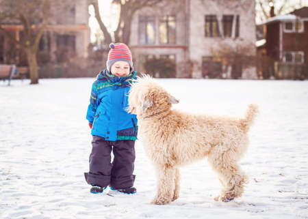 Happy toddler white Caucasian boy running and playing with white dog outdoors in winter dayの写真素材
