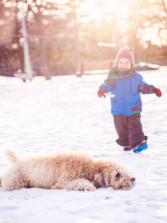 Happy toddler white Caucasian boy running and playing with white dog outdoors in winter dayの写真素材