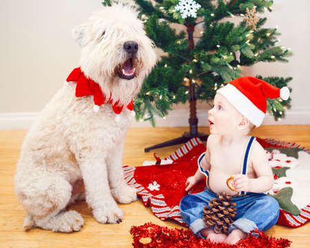 Candid lifestyle portrait of happy surprised funny white Caucasian baby boy in new year Christmas Santa hat sitting on floor indoor at home loking at large big pet dogの写真素材