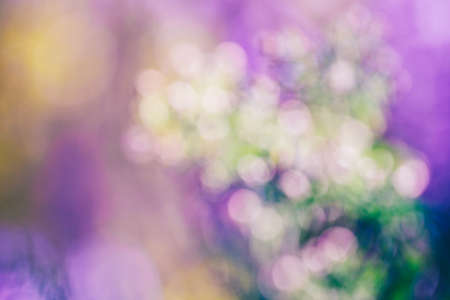 Beautiful dreamy magic pink white green abstract colorful  blurry background, soft selective focus, copyspace for text, cold colors tone, cinematic effect.の写真素材