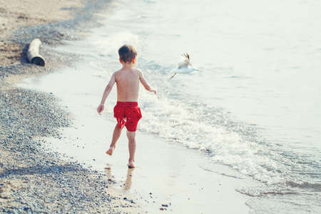Funny adorable white Caucasian one young little boy in red swim shorts running on beach by water ocean sea with seagull, view from back, emotional lifestyle summer moodの写真素材