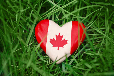 Macro closeup shot of wooden small heart with red white canadian flag maple leaf lying in grass on green forest nature background outside Canada day celebrationの写真素材